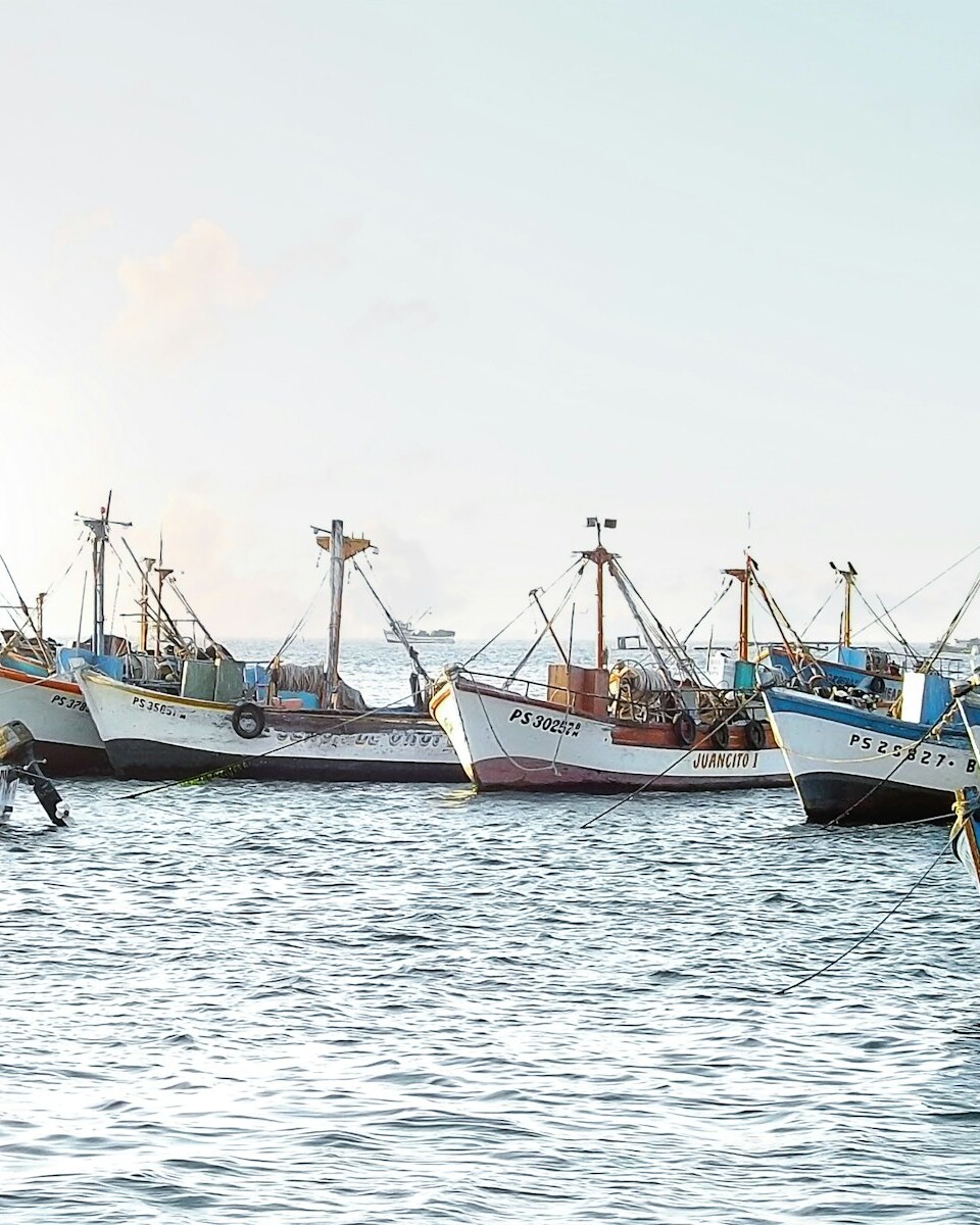 boats in the water